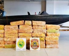 Polícias do Paraná apreendem 70 toneladas a mais de drogas no primeiro semestre