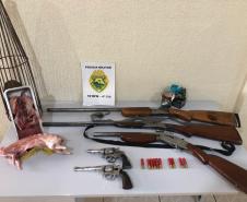 Carne de animal silvestre e sete armas são apreendidas pela PM no Centro-Sul do estado