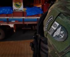 BPFron apreende 4,9 toneladas de maconha em duas abordagens no Oeste do estado