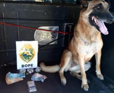 BOPE apreende pistolas e recupera van roubada na Capital