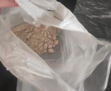 PM descobre laboratório de drogas e prende dois envolvidos no Botiatuvinha, em Curitiba