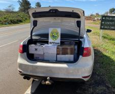 Durante a operação Hórus, BPFron apreende três armas de fogo e mais de 220 quilos de maconha e haxixe