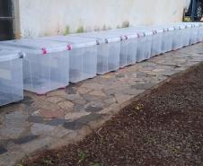 153 cobras são recolhidas de residência em Mandaguari