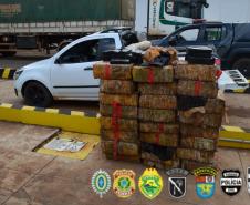 Meia tonelada de maconha é apreendida durante ação conjunta em Querência do Norte pela Operação Hórus/Ágata e Fronteira Sul