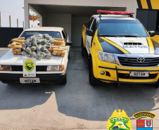 Apreensões de droga do BPRv no Litoral e no Oeste do estado causam prejuízo de R$ 250 mil ao tráfico