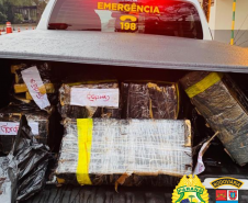 BPRv apreende quase 200 quilos de maconha no Norte do estado