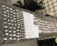 No Noroeste do estado, PM apreende mais de 2,5 mil porções e comprimidos de drogas