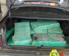 Polícia Rodoviária Estadual apreende 294 quilos de maconha e R$ 70 mil em eletrônicos no Noroeste do estado