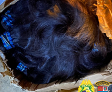 Cabelo humano é apreendido pelo BPRv durante fiscalização em Cruzeiro do Oeste (PR)