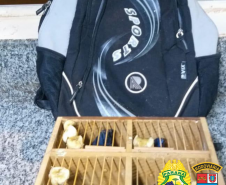 Quatro pássaros silvestres são apreendidos pelo BPRv no Noroeste do estado