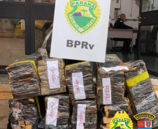 BPRv apreende quase 200 quilos de maconha no Norte do estado