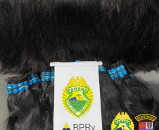 Cabelo humano é apreendido pelo BPRv durante fiscalização em Cruzeiro do Oeste (PR)