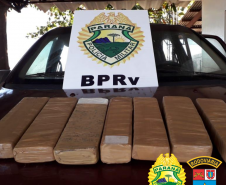 BPRv apreende quase 79 quilos de maconha em situações distintas no Paraná