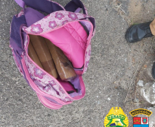 Apreensões de droga do BPRv no Litoral e no Oeste do estado causam prejuízo de R$ 250 mil ao tráfico