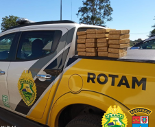 BPRv apreende quase 79 quilos de maconha em situações distintas no Paraná