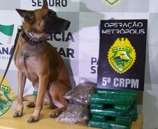 Policiais militares atuantes na Operação Metrópolis, desencadeada pelo 5º Comando Regional da PM (5º CRPM), prenderam sete pessoas e encaminharam um adolescente, além de aprenderem R$ 100 mil em eletrônicos e mais de 21,5 quilos de drogas. As ações policiais aconteceram entre quinta-feira (20/08) e sábado (22/08) na região Oeste e Sudoeste do estado.     Na madrugada deste sábado (22/08), equipes policiais de Marmeleiro e Renascença abordaram um veículo VW/Gol, de cor prata, e encontraram em seu interior, a