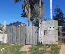 Ação integrada entre Batalhão Ambiental e IAT resgata onça-parda encontrada em área residencial de São José dos Pinhais, na RMC