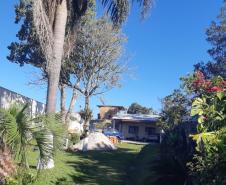 Ação integrada entre Batalhão Ambiental e IAT resgata onça-parda encontrada em área residencial de São José dos Pinhais, na RMC