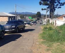 Ação integrada entre Batalhão Ambiental e IAT resgata onça-parda encontrada em área residencial de São José dos Pinhais, na RMC