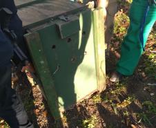 Ação integrada entre Batalhão Ambiental e IAT resgata onça-parda encontrada em área residencial de São José dos Pinhais, na RMC