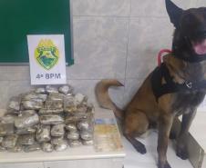 Em Maringá (PR), PM apreende quase 12 quilos de haxixe e 1,5 mil comprimidos de ecstasy