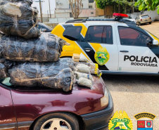 Policiamento em rodovias estaduais do Noroeste do estado resulta em mais de 325 quilos de drogas apreendidas no final de semana