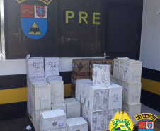 Vinhos e pneus contrabandeados são apreendidos pelo BPRv no Sudoeste e Noroeste do estado