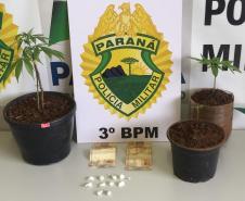 Policiamento do 3º Batalhão resulta em prisões de foragido da justiça e de envolvidos em tráfico e crime ambiental no Sudoeste do PR