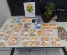 Na CIC, PM prende quatro pessoas e apreende 267 porções de maconha e uma muda In Natura da droga