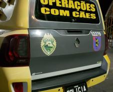 Policiais militares de Telêmaco Borba concluem estágio de Cinotecnia 