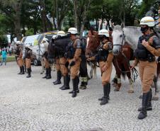 Mais de 300 policiais militares estão nas ruas da região Central da Capital pela Operação Saturação