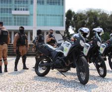 Concerto online marca as comemorações do Dia da Independência do Brasil em Curitiba (PR)