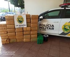 Em Guaíra (PR), PM apreende mais de meia tonelada de maconha durante patrulhamento