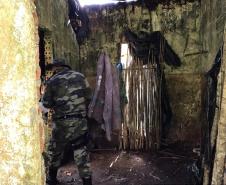 No final de semana, BPAmb-FV apreende arma de fogo, 800 caixas de cigarros contrabandeados e galos de rinha em situações distintas