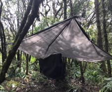 No final de semana, BPAmb-FV apreende arma de fogo, 800 caixas de cigarros contrabandeados e galos de rinha em situações distintas