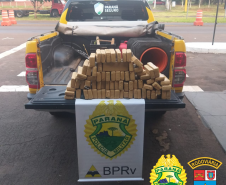 BPRv apreende mais de 50 quilos de maconha e um revólver em situações distintas