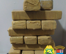 No Norte do estado, Canil do BPRv apreende mais de 15 quilos de maconha em ônibus