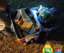 No Norte do estado, Canil do BPRv apreende mais de 15 quilos de maconha em ônibus