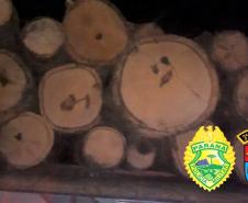 Em Mangueirinha (PR), policiais militares apreenderam caminhão carregado com madeira de Araucária 
