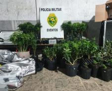 ALEP homenageia policial militar com Menção Honrosa