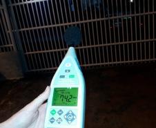 Feriado prolongado demanda AIFU com casos de perturbação de sossego no Litoral e na Capital