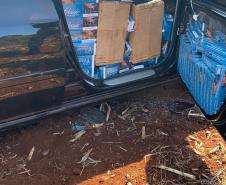 BOPE apreende mais de meia tonelada de maconha e armas durante a Operação Metrópolis
