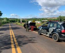 BPFron apreende maconha que iria para Cascavel e carga de agrotóxicos no Oeste do estado