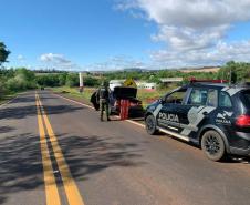 BPFron apreende maconha que iria para Cascavel e carga de agrotóxicos no Oeste do estado