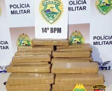 Mais de meia tonelada de maconha é apreendida pela PM no Oeste do PR