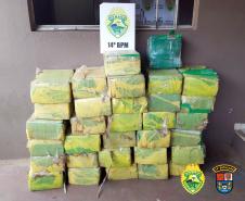 Mais de meia tonelada de maconha é apreendida pela PM no Oeste do PR