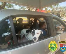 PM de Apucarana (PR) promove Drive Thru para a benção de animais; 700 animais foram abençoados
