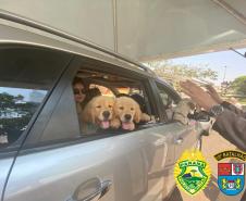 PM de Apucarana (PR) promove Drive Thru para a benção de animais; 700 animais foram abençoados