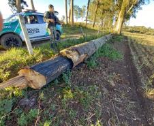 BPAmb-FV aplica mais de R$ 25 mil em multas e flagra descarte irregular de concreto no Paraná