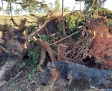 BPAmb-FV aplica mais de R$ 25 mil em multas e flagra descarte irregular de concreto no Paraná